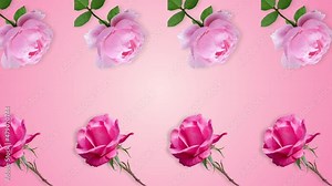two lines with many pink rose flowers animated in different direction on a pink gradient background. The concept of the day of St. Valentine's, weddings, birthday and other holidays