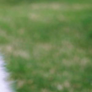 1.2M views · 349 reactions | Dogs will drink pretty much anything when they're thirsty But that can be a big problem because sometimes they can't tell what's dangerous or not Discover what liquids dogs cannot and shouldn't drink: | Dog Letter | Facebook