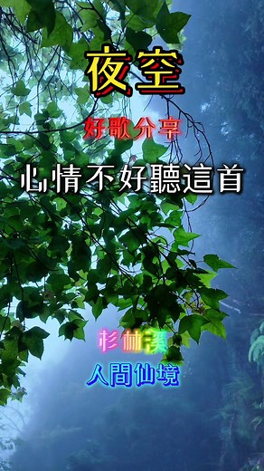 夜空 歌曲介紹與經典翻唱版本｜國語老歌全覽