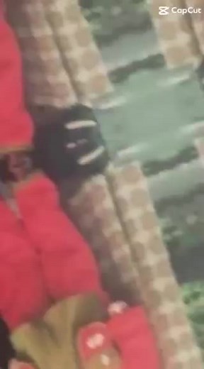 ♠️ (@jenny_9996)’s videos with original sound - ♠️