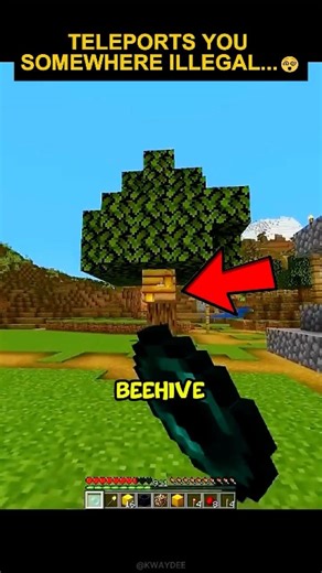 This Minecraft Bee Hive Tree Will Teleports You Somewhere ILLEGAL #minecraft #minecraft #shorts