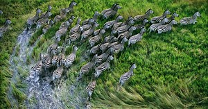 The Nature Conservancy in Angola & Botswana