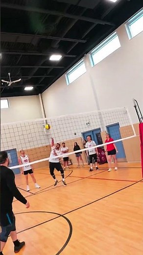 Setter Trusted Him Again… But Was It Legal?