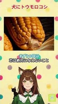[Can Dogs Eat Corn?] Is it safe? Surprising facts about what they can and can't eat. #DogLab #Dog...