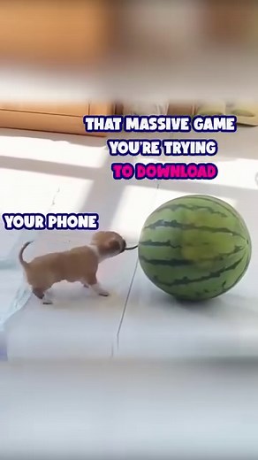 Play on InstaPlay. Here you can pick, click and play games.. No Downloading 😎 Check it out at 👉 https://bit.ly/nowgg_InstaPlay_home #Gaming #BlueStacks #InstaPlay #InstantGaming #Memes #reels #BlueStacks5 | BlueStacks