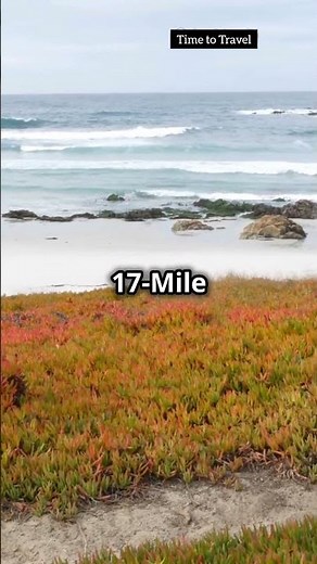 Carmel California | Things to do in Carmel By The Sea #carmelbythesea