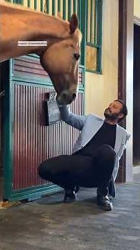 فقدت التوازن امام فرس تعالوا نشوف اللى حصل ؟ 🤔😳 #٦٠شو_مع_الدكتور_حاتم_ستين