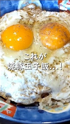 【焼豚玉子飯】愛媛県の美味しいご飯が最高だったひとり旅【#四国グルメ】 #shorts #ご当地グルメ