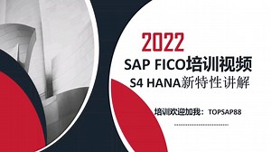 30天自学入门SAP FICO模块SAP FICO培训视频教程-FICO S4 HANA讲解