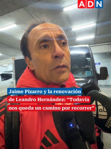 Renovación de Leandro Hernández en Colo Colo: estado y perspectiva