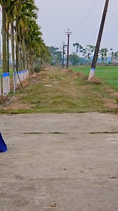 7.1K reactions · 53 shares | Rebo Rebo#Shorts#Dance#Funny | Aparajita Ki Dancer | Facebook