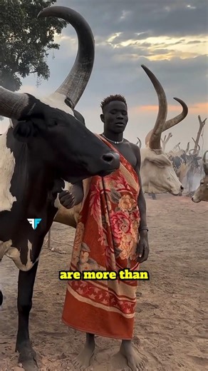 The Raw Grooming Style Modern Men Can’t Handle #shorts #africa #tribalunity #africantribe