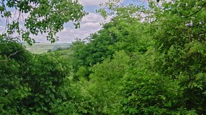 Le monde naturel des animaux sauvages