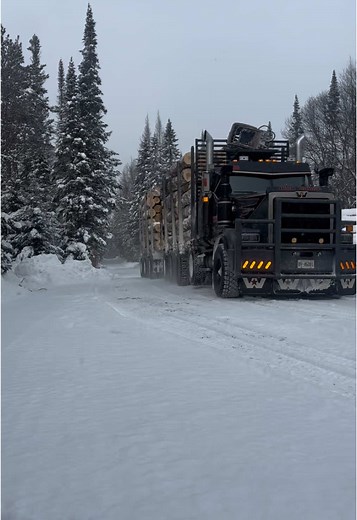 Big Rig Trucks in Action: Logging with Power