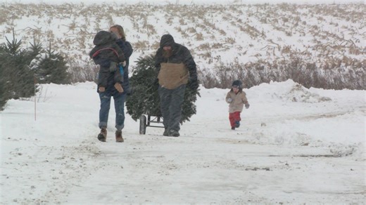 Enjoy sleigh rides, meet Santa, and cut your own tree at Port Farms