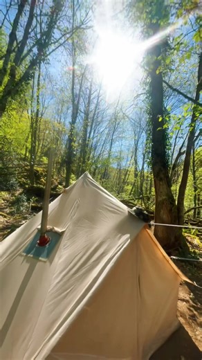 Mon camp de base c’est Jurassic Park ! 🤣🦖🏕️ #bivouac #campdebase #camping #campinglife #survi #autonomie #randonnée #trek #survivalist #survivalisme #jurassicpark #survivalskills #survivaltips