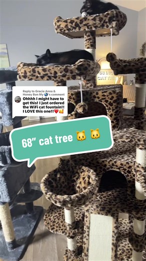The Perfect Cat Tree for Multiple Cats