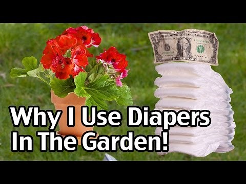Why I Use Disposable Diapers In The Garden!