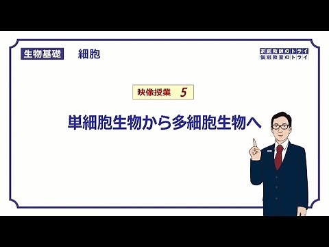 【生物基礎】　細胞5　単細胞生物→多細胞生物 （１４分）