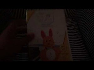 Opening To Baby Einstein: Baby Bach 2007 DVD