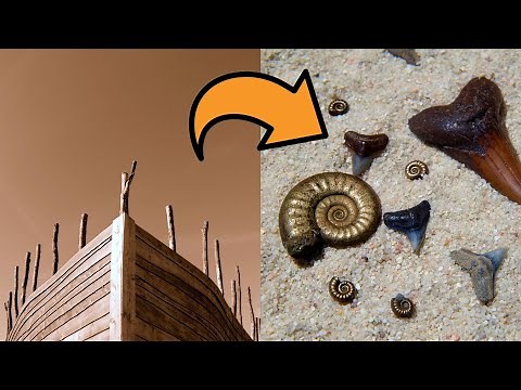 6 Powerful Evidences for the Biblical Flood