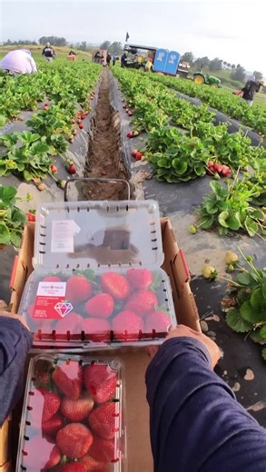 Exploring Santa Maria, California