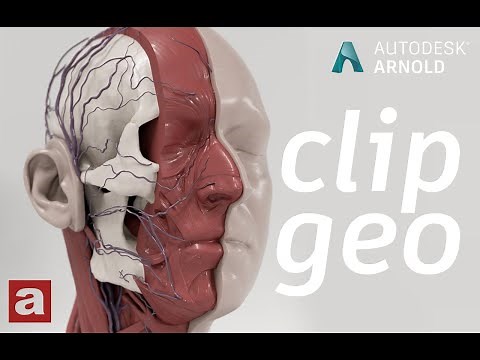 Arnold tutorial - Using the clip_geo shader in MtoA