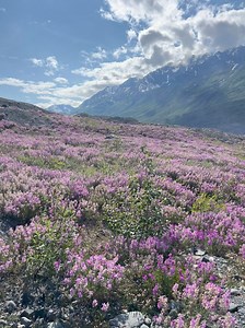 1.5K views · 33 reactions | Real pretty out there Chugach Mountains, Alaska | Alaska Tour & Travel | Facebook
