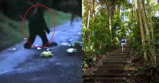 Some people in S'pore believe they've seen the Bukit Timah Monkey Man