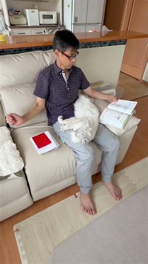 【58才看護師ケアマネパパ〜ITパスポート資格試験に8ヶ月勉強して挑戦➡︎780点で合格〜】『努力は報われる🐈‍⬛』#ぽんち#こぽんち#ペルシャ猫#癒し#励まし#可愛い動物 #cat#ねむ隊長ポン