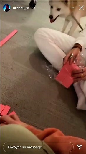 Michou et Apo commence le défi de recouvrir Webedia de domino