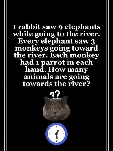 Tricky Riddles on TikTok