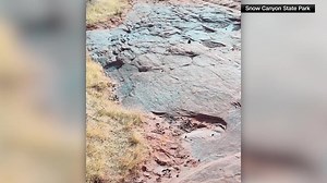Video: Blue powder cannons vandalizes Snow Canyon State Park - KSLTV.com