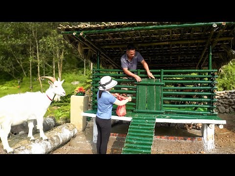 Building A Goat Stable With Concrete Pillar And Bamboo - Buy Breeding Goats To Raise