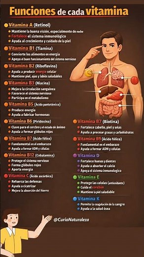 Funciones de cada Vitamina en el cuerpo #vitaminas #cuerpohumano #curionaturaleza