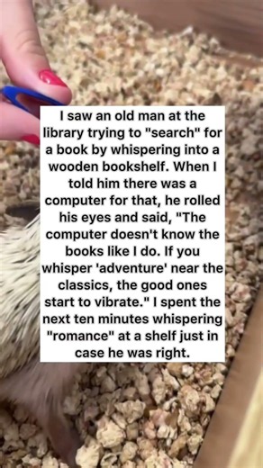 Whispering To Books At The Library 📚 #crazy #funny #shorts