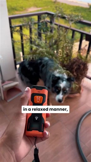 Finally stopped the chewing and barking without hurting my dog. Gentle but effective 🐾 👉 Get yours now before it's sold out! | Happy-Luna