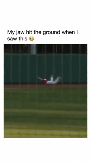 37K views · 666 reactions | Baseball at its absolute best. What’s the craziest moment you’ve ever seen live? #baseball #MLB #fblifestyle | MLB Throwbacks | Facebook