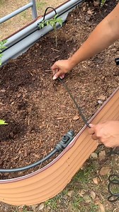 Make watering effortless with Vego’s Irrigation Kit! 💦 🌿 Automatically hydrates your garden with precision 💧 Saves time, conserves water, and boosts plant health 🌞 Perfect for raised beds, flowers, and vegetables 🛠️ Easy-to-install system—set it and forget it! | Vego Garden