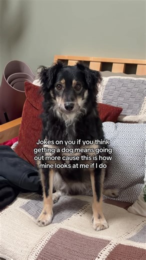 The back leg position is killing me 😭😭