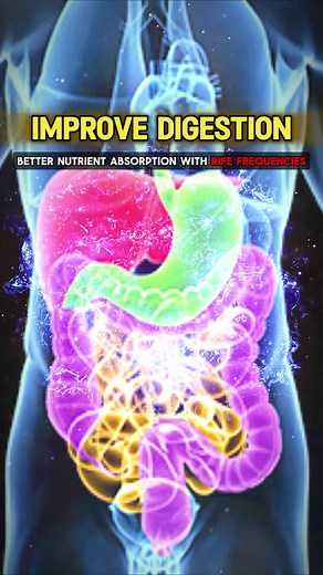 Improve Digestion and Nutrient Absorption with RIFE Frequencies 🎧❤️ #stomach #stomachproblems #stomachissues #nutrientdeficiency #nutrientabsorption #rifefrequency #rifefrequencies #healing #healingtiktok #fypage