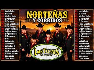 🎸 LOS TUCANES DE TIJUANA MIX 2026 | Corridos Pesados para Pistear | 40 Éxitos Bravos Inolvidables 🎸