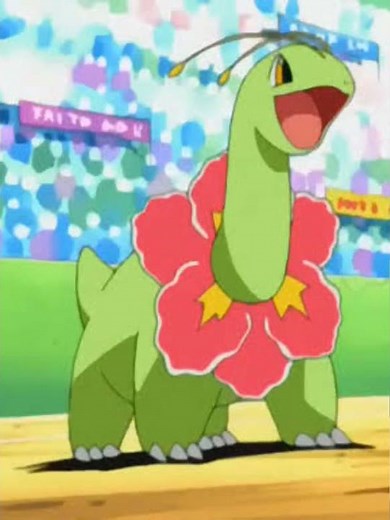 Power of ash's chikorita ll Evolution of chikorita ll