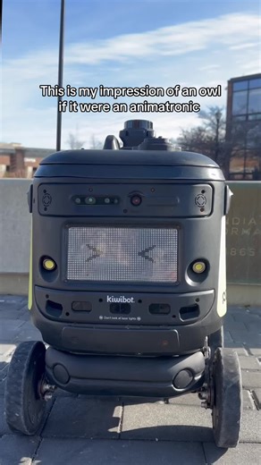Our take on the owl trend 🦉 #robot #owl #impressions