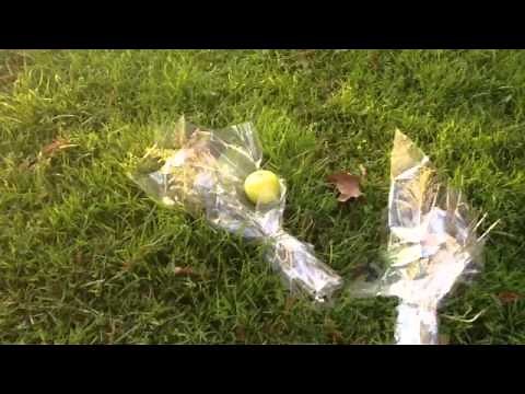 Steve Jobs TOMB in Alta Mesa Memorial Park