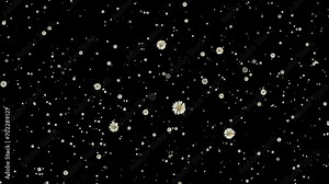 An animated video of falling rose petals with a green screen background, suitable for a love theme