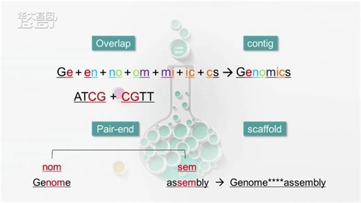 2.5 OVERLAP、CONTIG、SCAFFOLD等基本概念介绍