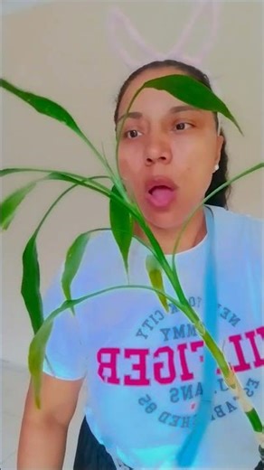 How do you remove a coconut? #duet #meme day