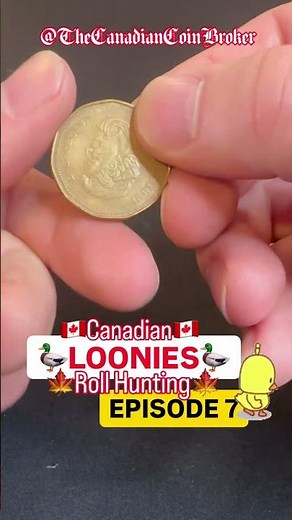 We Searched a Full Roll… This Was the ONLY Find 👀🇨🇦