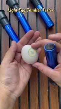 Light Egg Candler Tester | Bright Cool LED Candling Lamp